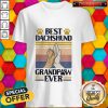 Best Dachshund Grandpaw Ever Vintage Retro Shirt